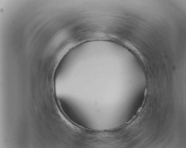 X0000076431479200610271721