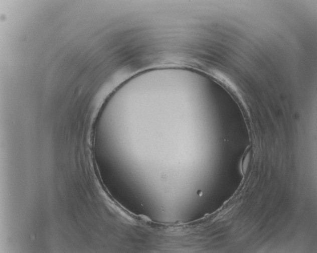 X0000076431480200610271721