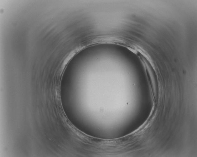 X0000076431481200610271721