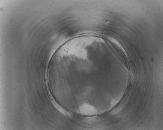 X0000076431482200610271721