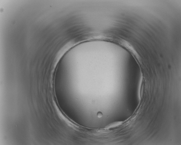 X0000076431483200610271721