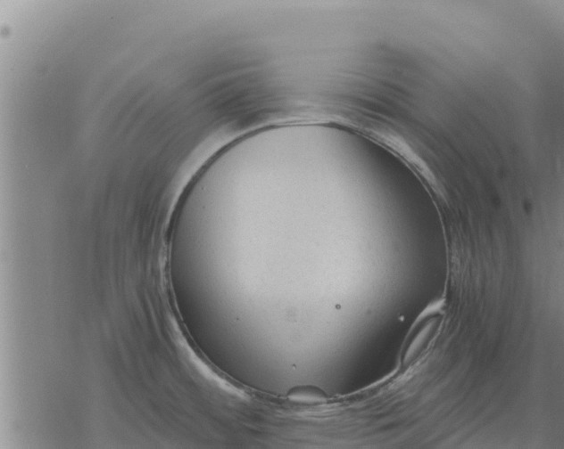 X0000076431484200610271721