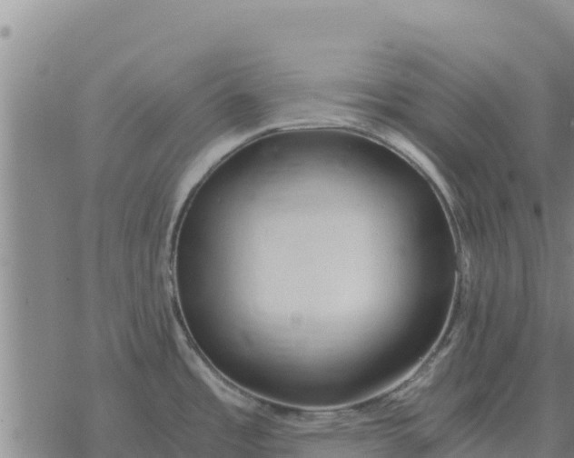 X0000076431485200610271721