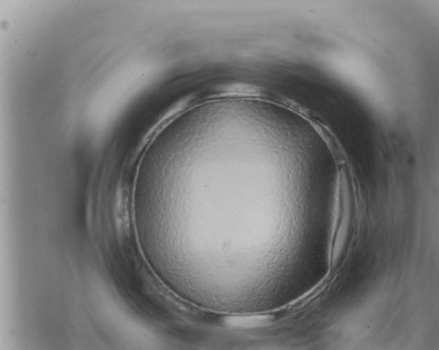 X0000076431487200610271720