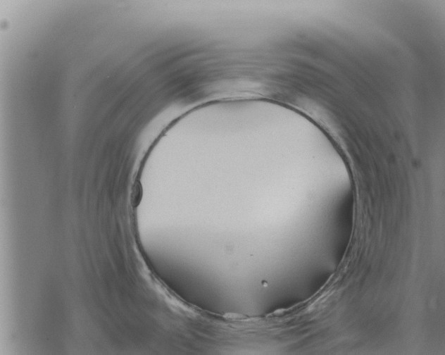 X0000076431488200610271720