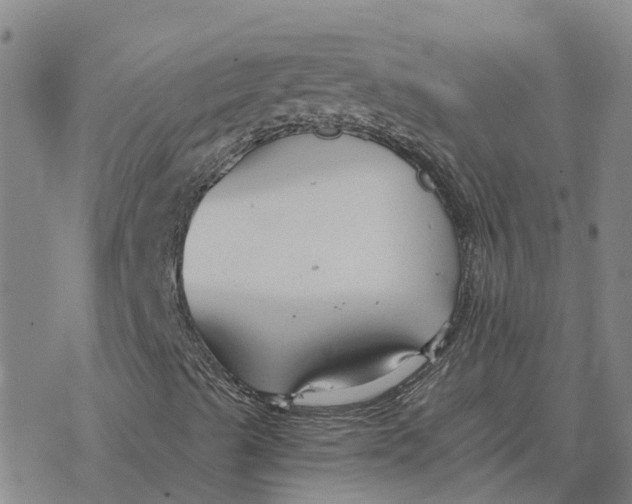 X0000076431489200610271720