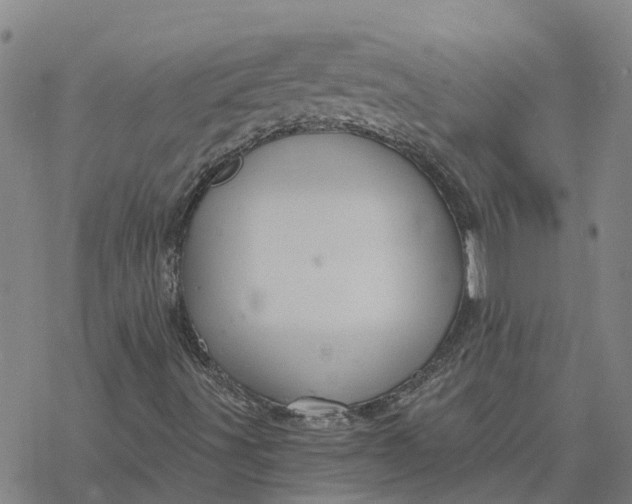 X0000076431491200610271720