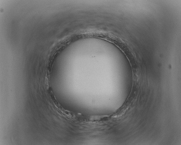 X0000076431493200610271720