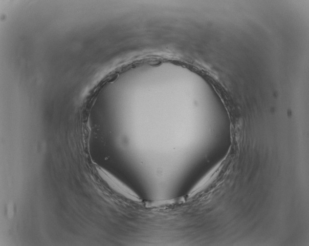 X0000076431496200610271720