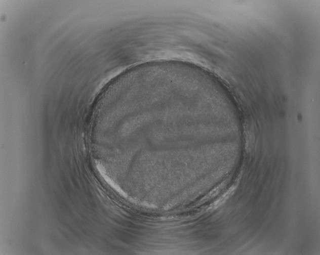 X0000076431497200610271720