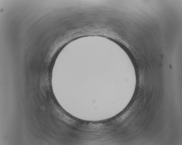 X0000076431498200610271720