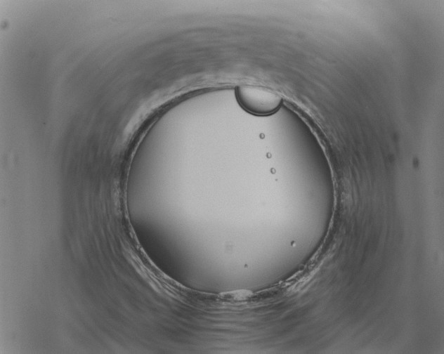 X0000076431499200610271720