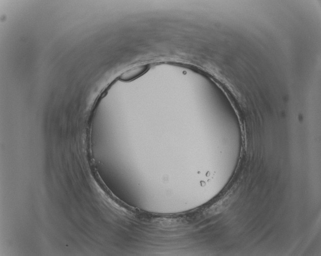 X0000076431500200610271720