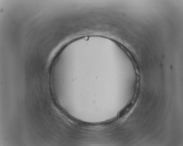 X0000076431502200610271720