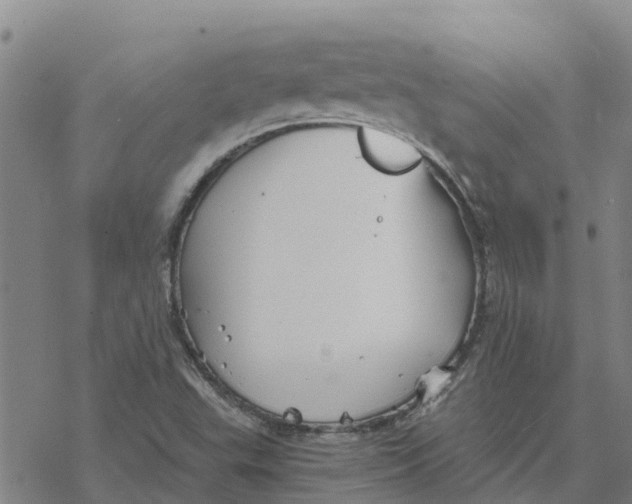 X0000076431503200610271720