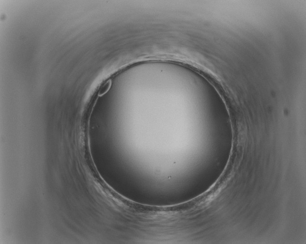 X0000076431506200610271720