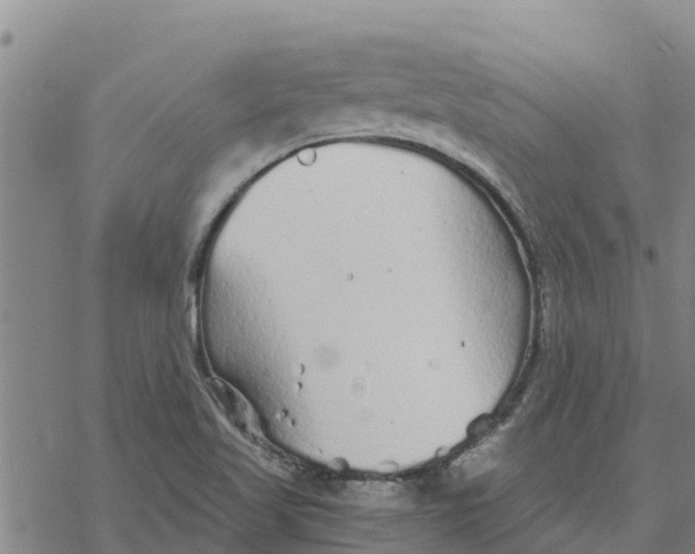 X0000076431509200610271720