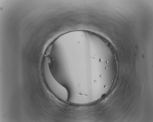 X0000076431510200610271720