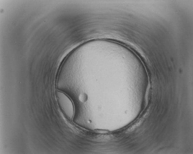 X0000076431513200610271720