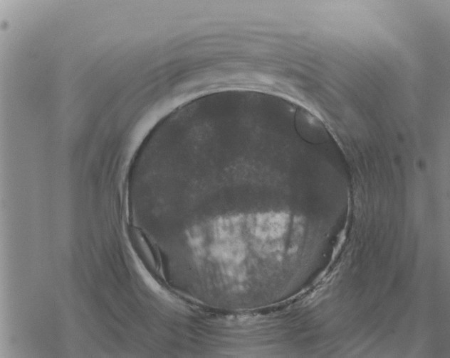 X0000076431515200610271720