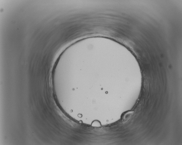 X0000076431516200610271720