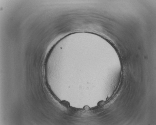 X0000076431517200610271720