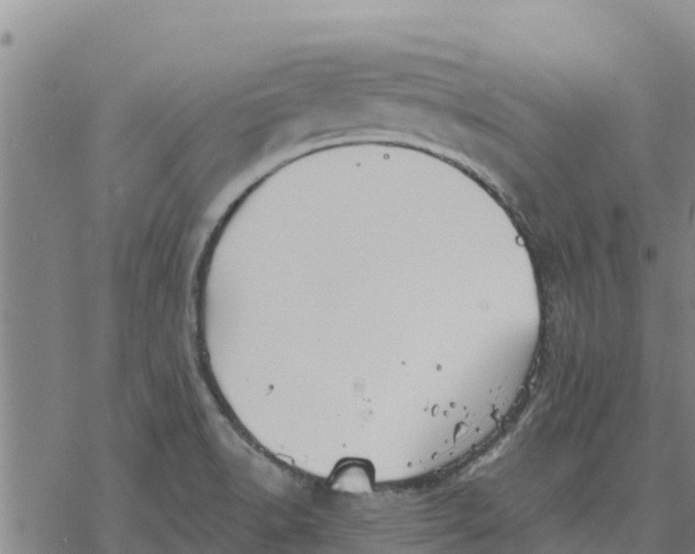 X0000076431518200610271720