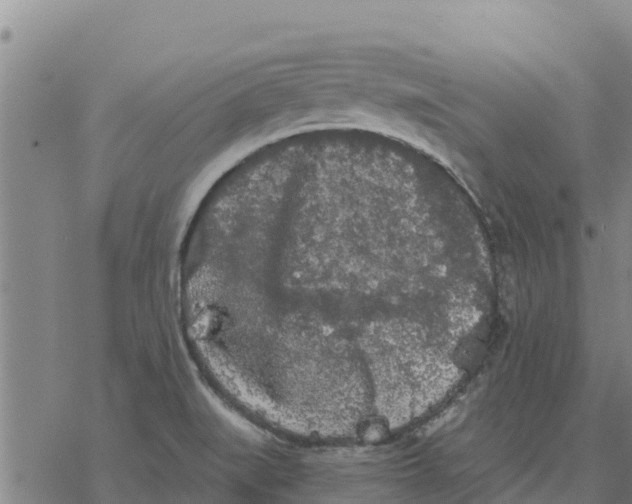 X0000076431519200610271720