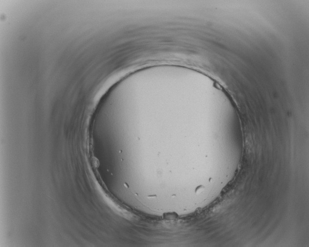 X0000076431523200610271720