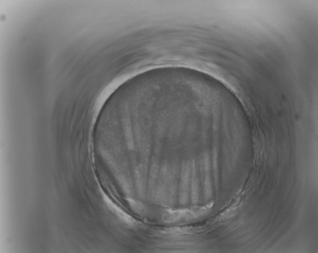 X0000076431527200610271720