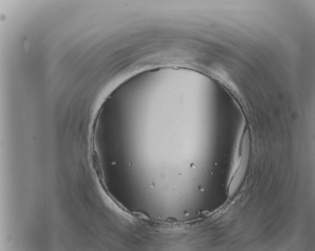 X0000076431528200610271720