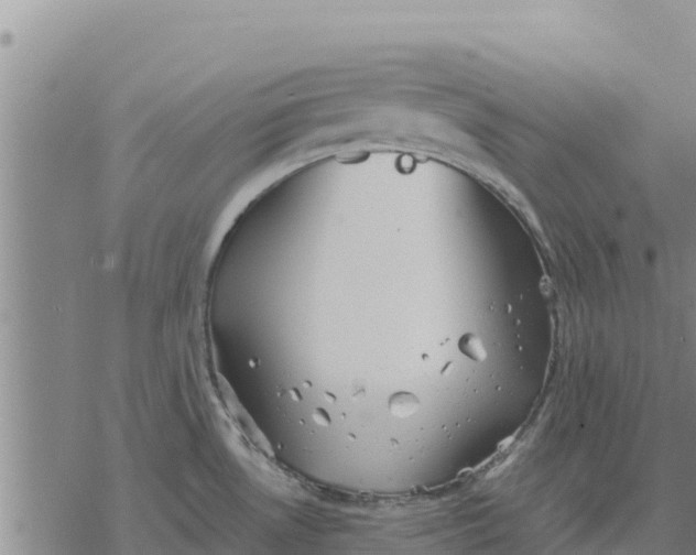 X0000076431530200610271720