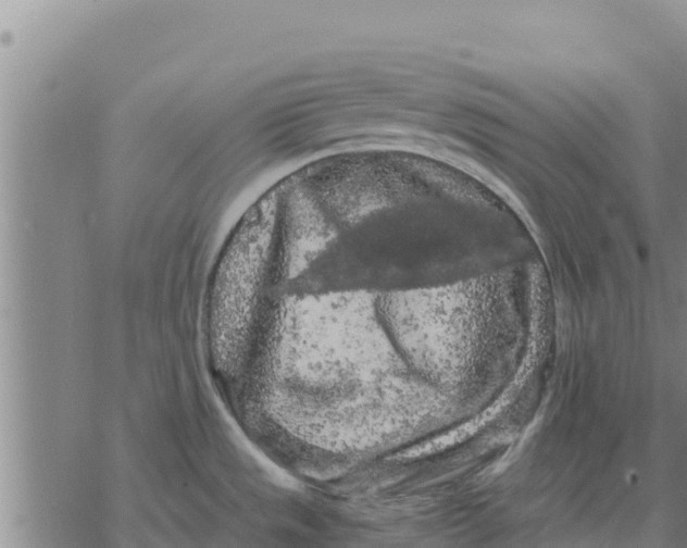 X0000076431533200610271720