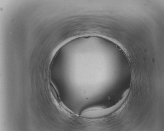 X0000076431534200610271720