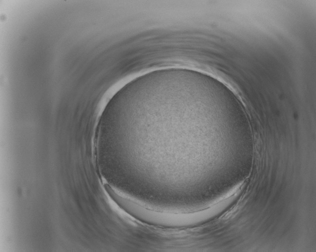 X0000076431535200610271720