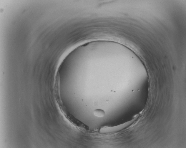 X0000076431536200610271720