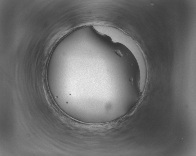 X0000076430001200611031851