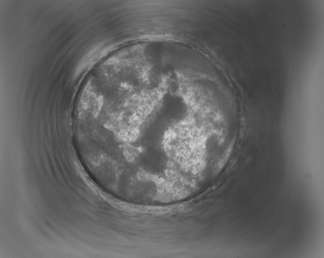 X0000076430002200611031851