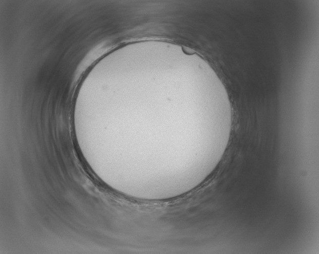 X0000076430004200611031851