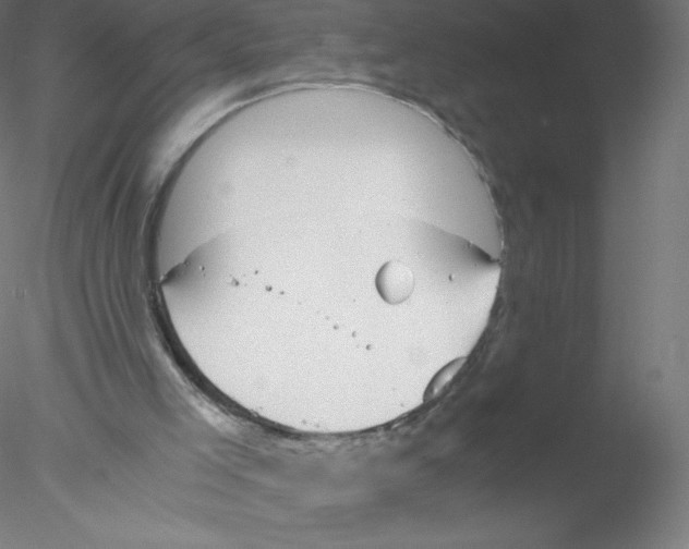 X0000076430005200611031851