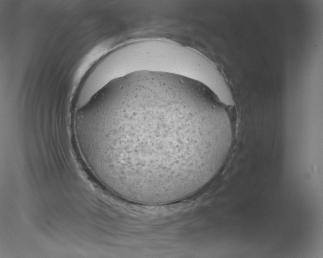 X0000076430006200611031851