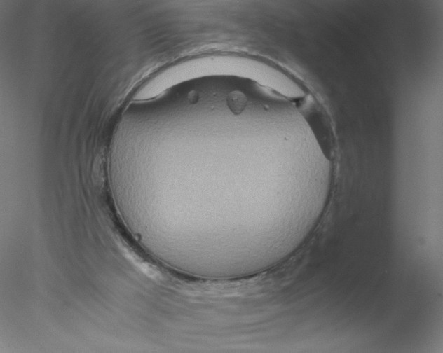 X0000076430009200611031851