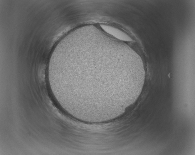 X0000076430010200611031851