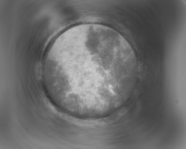 X0000076430012200611031851