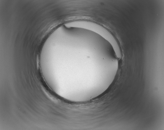 X0000076430013200611031851