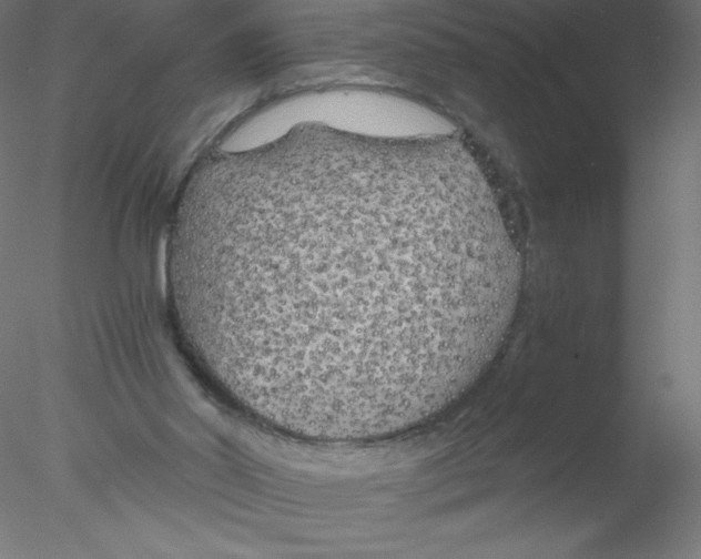 X0000076430014200611031851