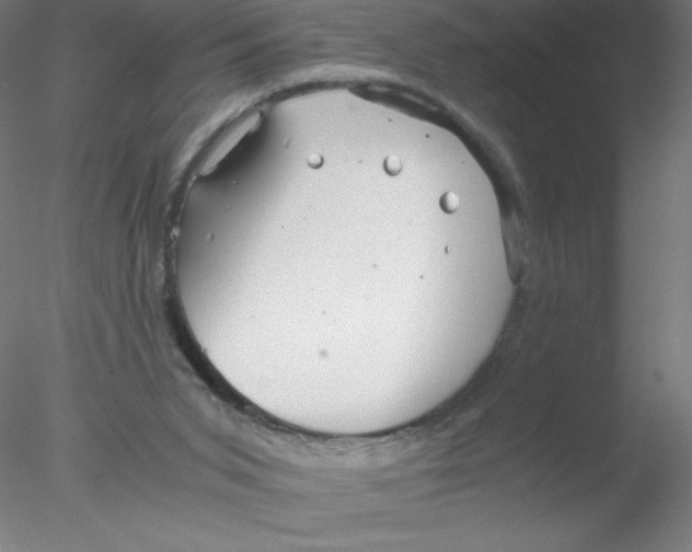 X0000076430015200611031851