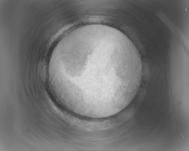 X0000076430016200611031851