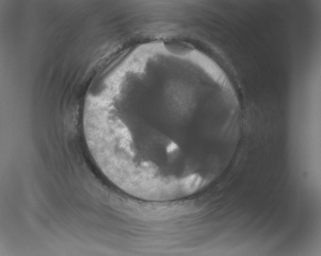 X0000076430018200611031851