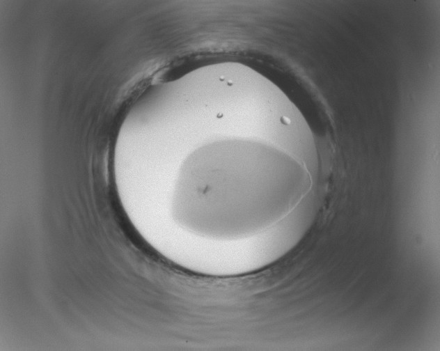 X0000076430019200611031851